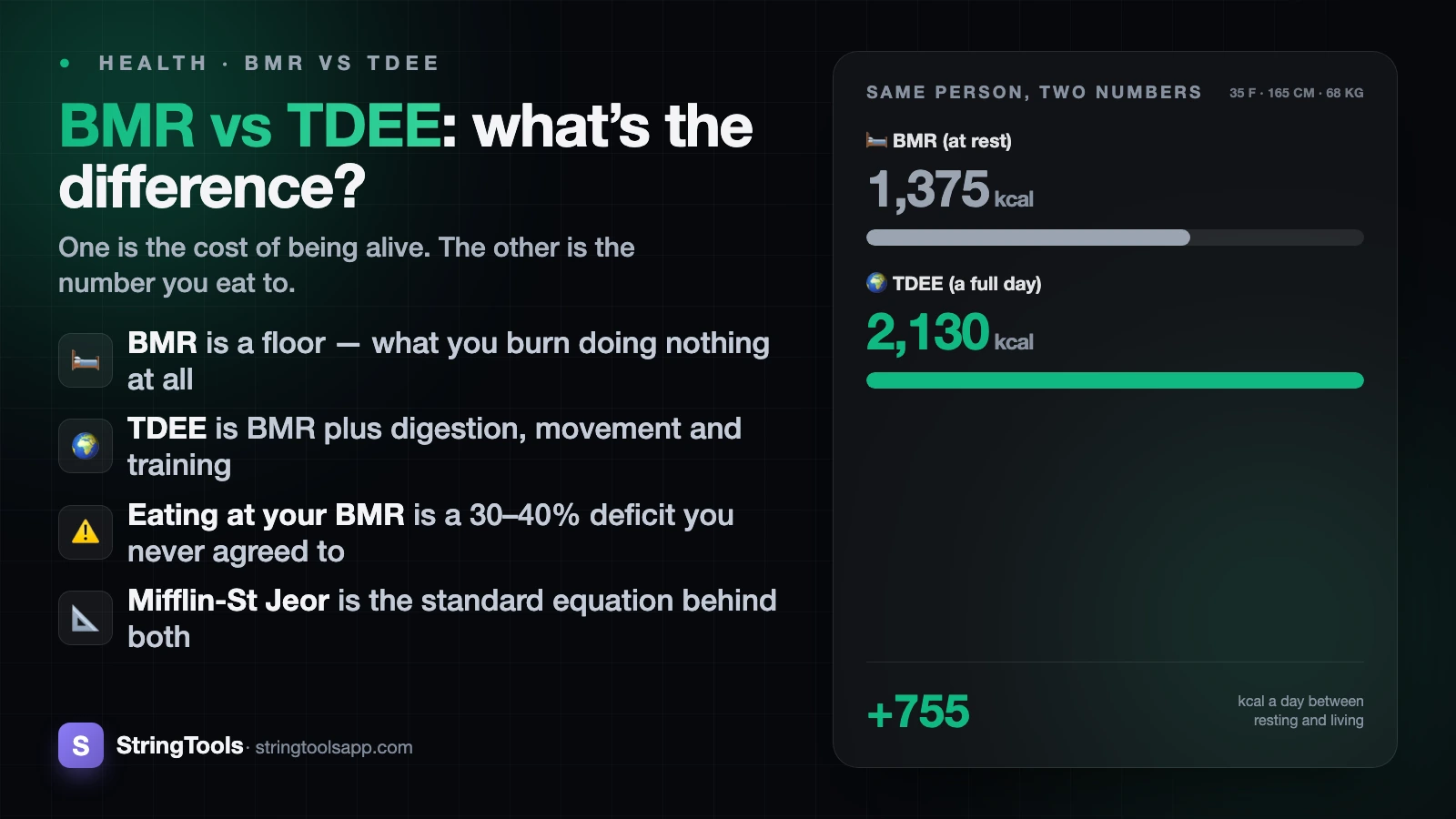 BMR vs TDEE: What's the Difference? — cover
