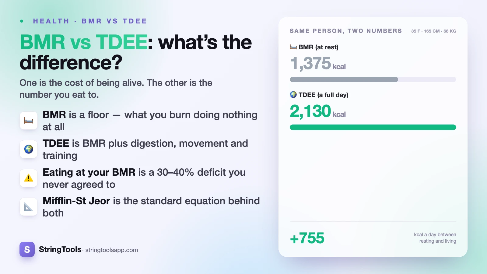 BMR vs TDEE: What's the Difference? — cover