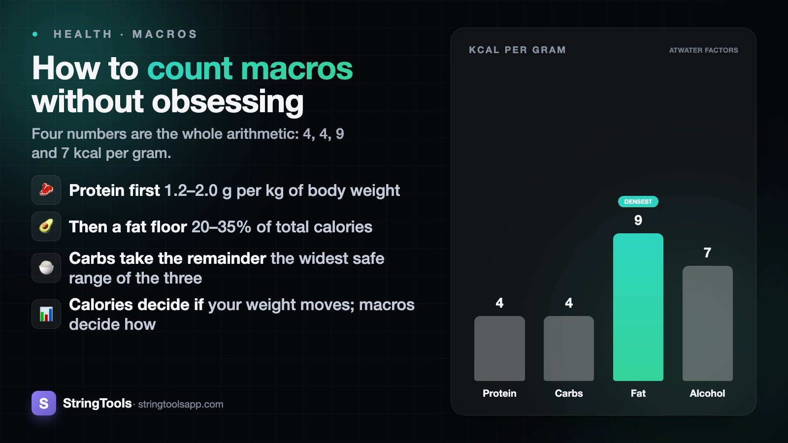 How to Count Macros: A Practical Beginner's Guide — cover