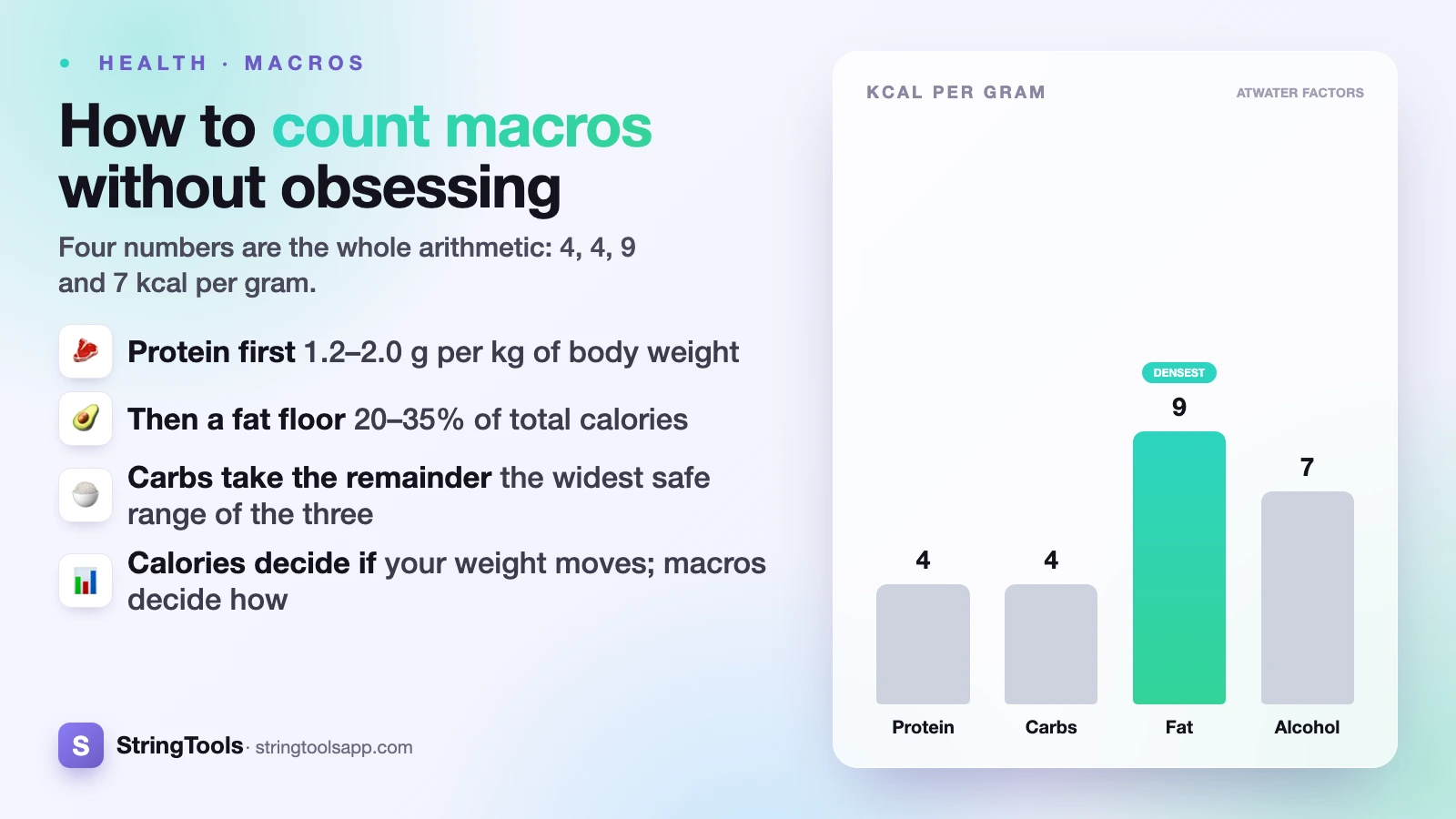 How to Count Macros: A Practical Beginner's Guide — cover