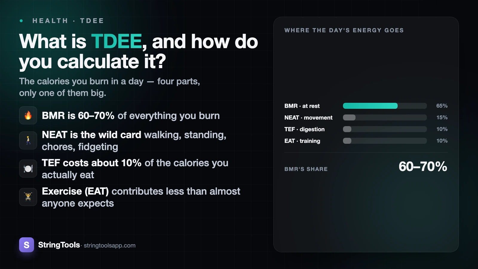 What Is TDEE and How Do You Calculate It? — cover