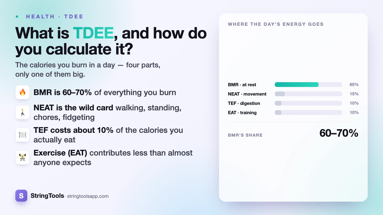 What Is TDEE and How Do You Calculate It? — cover